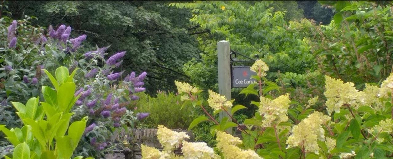 Cae Garw B&B Betws-y-Coed Exteriör bild